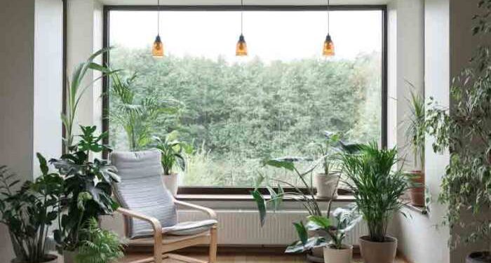 How Much Do Vinyl Windows Cost? (2025)